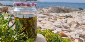 Beitragsbild des Blogbeitrags Meerfenchel – der salzige Genuss