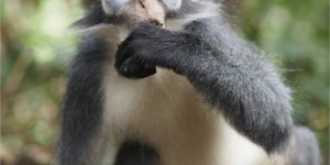 Beitragsbild des Blogbeitrags „Selamat datang“ to Indonesia – dem Land mit mehr als 17.000 Inseln.