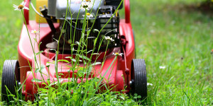 Beitragsbild des Blogbeitrags Tipps für die richtige Gartenpflege im Frühling 
