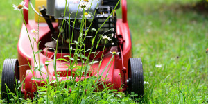 Beitragsbild des Blogbeitrags Tipps für die richtige Gartenpflege im Frühling