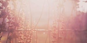 Beitragsbild des Blogbeitrags Aus dem Leben: Wenn das Baby nicht bleiben will