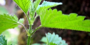 Beitragsbild des Blogbeitrags Begegnungen | #3 ULI