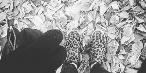 Beitragsbild des Blogbeitrags Julia • Wortheldin Jänner 2017