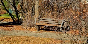 Beitragsbild des Blogbeitrags Gezeichnet.