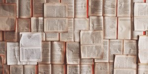 Beitragsbild des Blogbeitrags Mein Lesejahr 2017