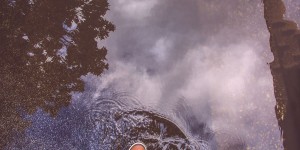 Beitragsbild des Blogbeitrags Wir. Wie das schon klingt