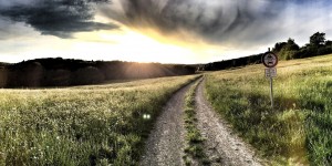 Beitragsbild des Blogbeitrags Die Welt verändern/zerstören. 