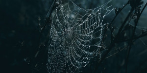 Beitragsbild des Blogbeitrags folgen.