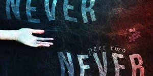 Beitragsbild des Blogbeitrags Never Never (Part Two) • Colleen Hoover & Tarryn Fisher