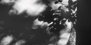 Beitragsbild des Blogbeitrags Siehst du mich?