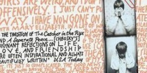 Beitragsbild des Blogbeitrags The Perks of Being a Wallflower • Stephen Chbosky