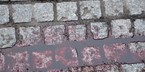 Beitragsbild des Blogbeitrags Blut.