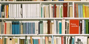 Beitragsbild des Blogbeitrags Mimikry – Das Spiel des Lesens • Philipp Albers & Holm Friebe (Hg.) 