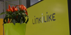 Beitragsbild des Blogbeitrags Das war die dmexco 2017 