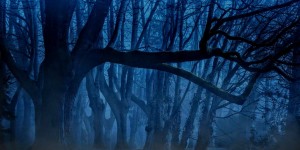 Beitragsbild des Blogbeitrags Trafficquelle „Dark Social“ – so böse wie der Name klingt?