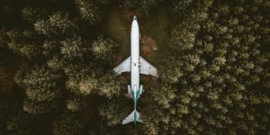 Beitragsbild des Blogbeitrags Vermeiden Sie diese 5 Seeding Fehler, um nicht im Wald zu stehen!