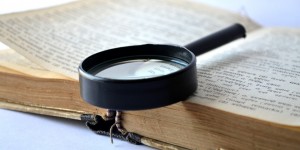 Beitragsbild des Blogbeitrags ,,Und wohin kräut das Kriecht?“ – die schiachsten Wiener Wörter