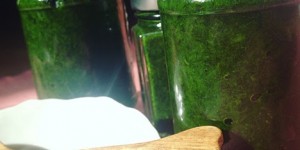 Beitragsbild des Blogbeitrags Bärlauchzeit: Bärlauch in Olivenöl 