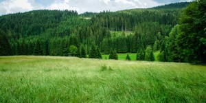 Beitragsbild des Blogbeitrags 12 Fotos die 2014 hervorgebracht hat … 
