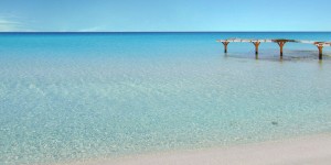 Beitragsbild des Blogbeitrags Fuerteventura – das Urlaubsparadies gleich um die Ecke