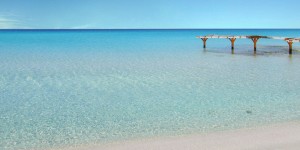 Beitragsbild des Blogbeitrags Fuerteventura – das Urlaubsparadies gleich um die Ecke 