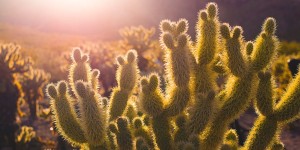 Beitragsbild des Blogbeitrags Baby Wellness Urlaub