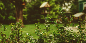 Beitragsbild des Blogbeitrags DIY – Do it yourself für Heim und Garten!