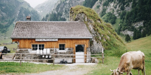Beitragsbild des Blogbeitrags Urlaub am Bauernhof in den Herbstferien: Ein Abenteuer für die ganze Familie