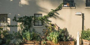 Beitragsbild des Blogbeitrags XXL Outdoor Pflanzkübel: Der ultimative Ratgeber für Ihre Garten-Oase
