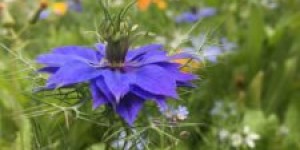 Beitragsbild des Blogbeitrags DANKE