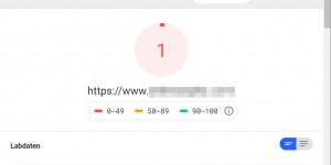 Beitragsbild des Blogbeitrags Neuer Negativrekord in Page Speed Insights 