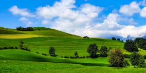 Beitragsbild des Blogbeitrags Braucht jemand ein Hintergrundbild für ein neues Betriebssystem?