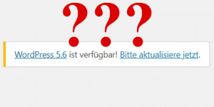 Beitragsbild des Blogbeitrags Soll ich das WordPress-Update machen?