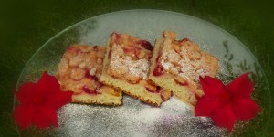 Beitragsbild des Blogbeitrags Kriecherlkuchen vom Blech mit Topfen-Rahm-Guss und Zimtstreuseln