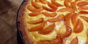 Beitragsbild des Blogbeitrags Marillen Tarte à la Guggi
