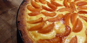 Beitragsbild des Blogbeitrags Marillen Tarte à la Guggi 