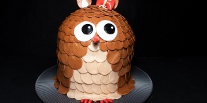 Beitragsbild des Blogbeitrags Motivtorte Eule (Torte nach Sacher Art) 