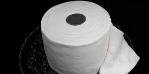 Beitragsbild des Blogbeitrags Klopapierrolle :-) ESSBAR :-)