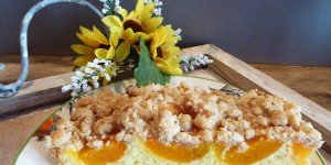Beitragsbild des Blogbeitrags Marillen Streuselkuchen
