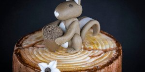 Beitragsbild des Blogbeitrags Baumstamm mit Eichhörnchen