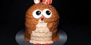 Beitragsbild des Blogbeitrags Motivtorte Eule (Torte nach Sacher Art)