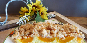 Beitragsbild des Blogbeitrags Marillen Streuselkuchen