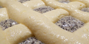 Beitragsbild des Blogbeitrags Mohn-Topfen (Quark)  Schnitten 