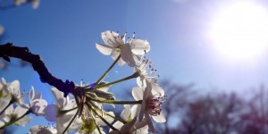 Beitragsbild des Blogbeitrags Die Heilkraft der Sonne: Vitamin-D als Lebenselixier 