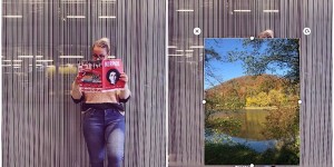 Beitragsbild des Blogbeitrags #Bildbearbeitung - Hintergrund ändern in 3 einfachen Schritten