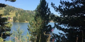 Beitragsbild des Blogbeitrags Familienspaß auf der Turracher Höhe – wir testen die journi App 