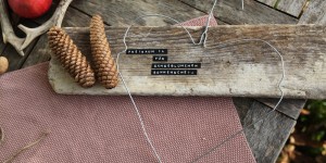 Beitragsbild des Blogbeitrags Familien-DIY | Kleiderbügel-Moos-Herz