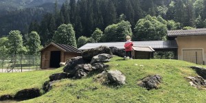 Beitragsbild des Blogbeitrags Ausflugstipp: Freizeitpark und Wildpark Untertauern