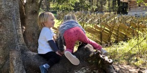 Beitragsbild des Blogbeitrags Frühling im Salzburger Freilichtmuseum 