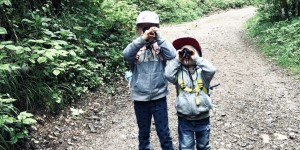 Beitragsbild des Blogbeitrags Glasenbachklamm: Wandern in die Welt der Dinos